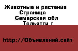  Животные и растения - Страница 13 . Самарская обл.,Тольятти г.